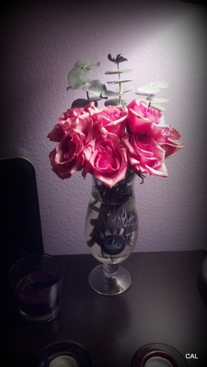 1-2012-11-19_21-03-37_778