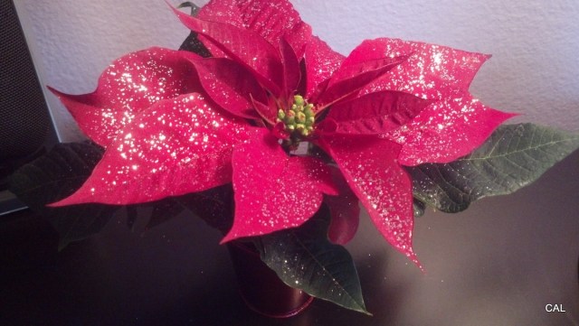 1-2012-11-30_08-20-16_843