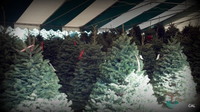 1-2012-12-08_11-15-12_327