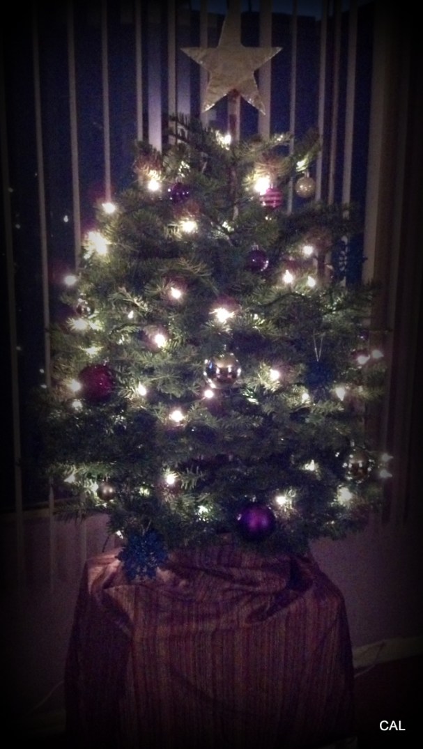 1-2012-12-09_17-11-57_969