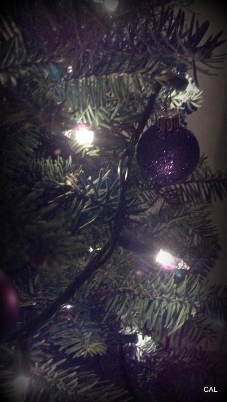 1-2012-12-09_18-42-46_465