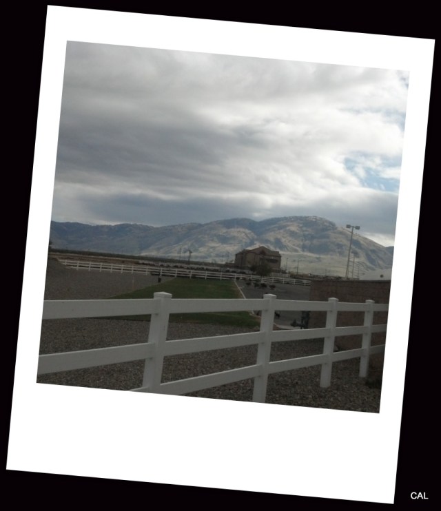 1-2012-12-22_13-21-46_231