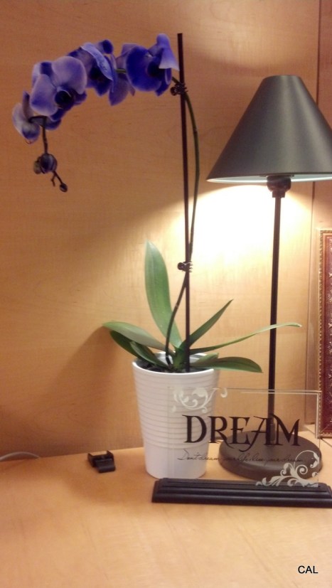 1-2013-01-17_11-46-13_173