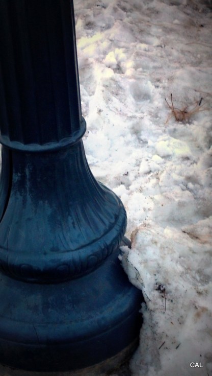 1-2013-01-18_16-38-32_275