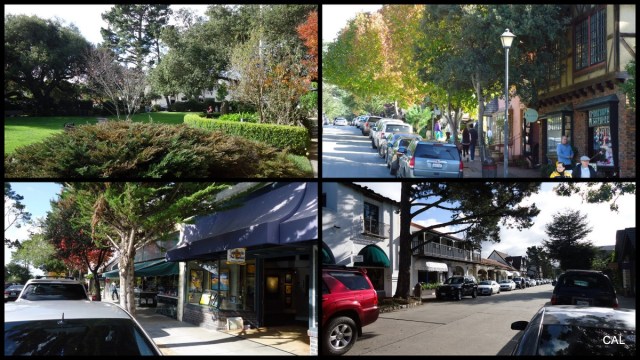 1-ATG Pix - Christmas 2012