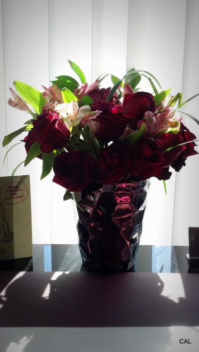 1-2013-02-17_12-28-04_509