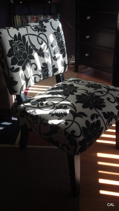 1-2013-02-17_12-30-04_958