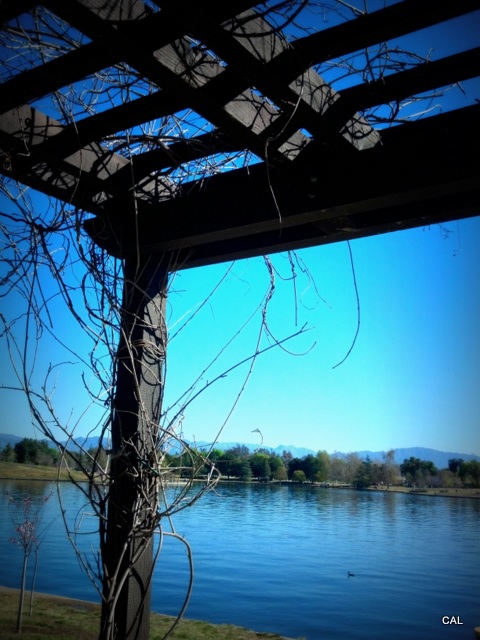 1-2013-03-01_09-39-12_718