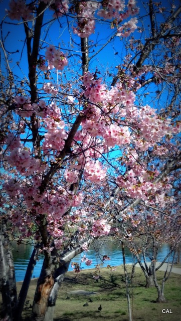 1-2013-03-01_09-46-18_214