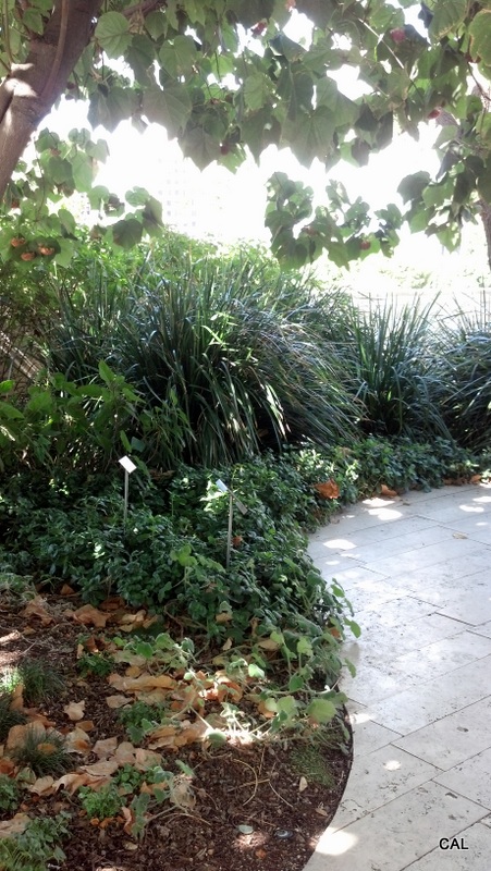 1-2013-03-09_13-36-34_601