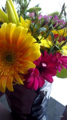 1-2013-03-24_17-18-54_568