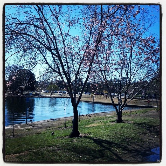 1-IMG_20130301_094111