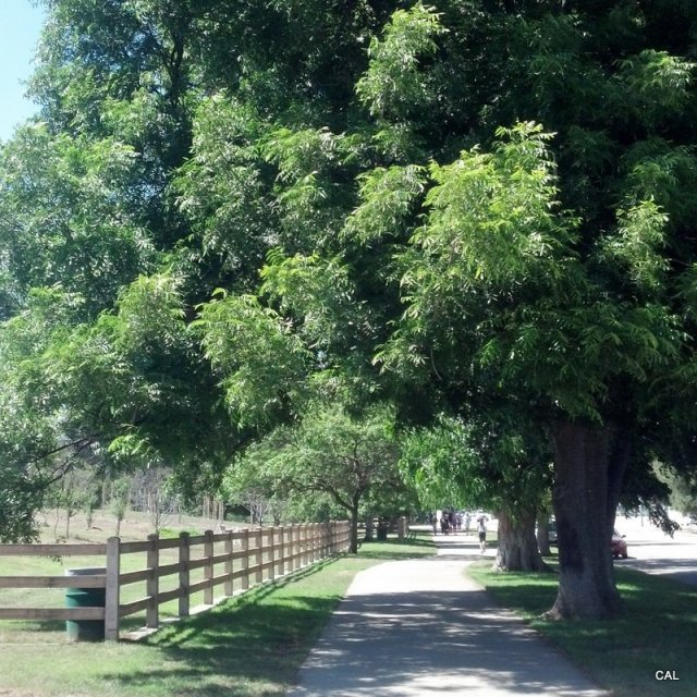 1-IMG_20130621_103913