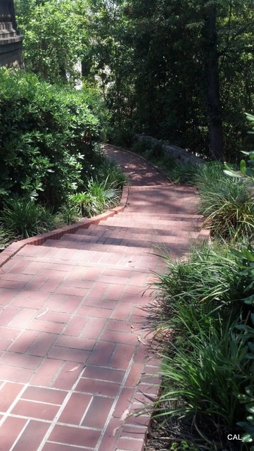 IMG_20130511_125008_464