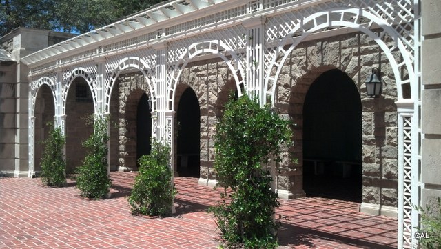 IMG_20130511_125343_223