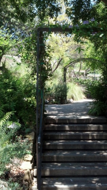 IMG_20130511_131251_530