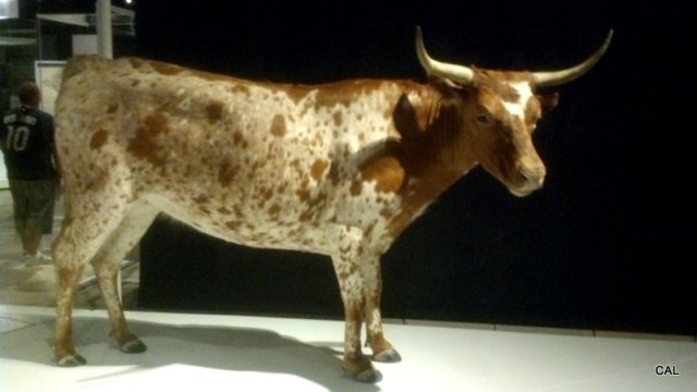 1-2013-07-20 13.29.19