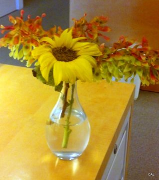 1-2013-08-15 15.08.17