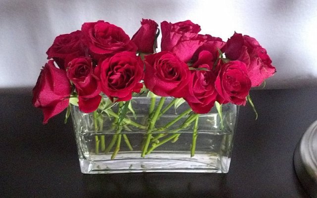 1-1-2014-03-10 09.16.02