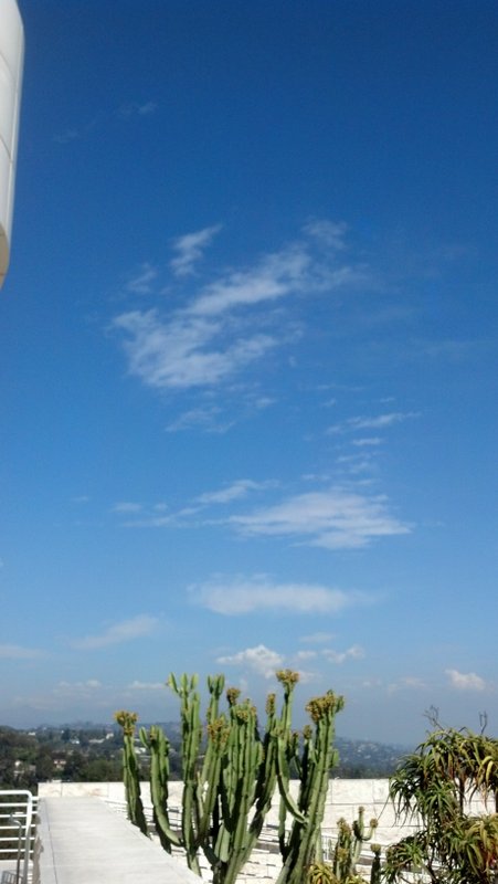 1-2014-03-13 14.41.45 (1)