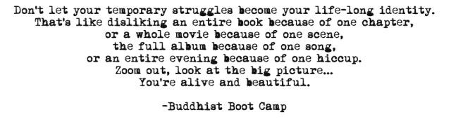 Buddhist Boot Camp FB Quote