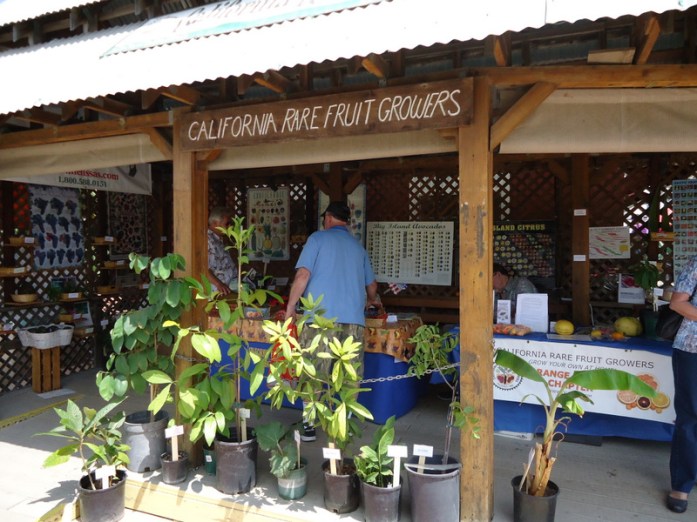 Fruit Growers ATG FINAL