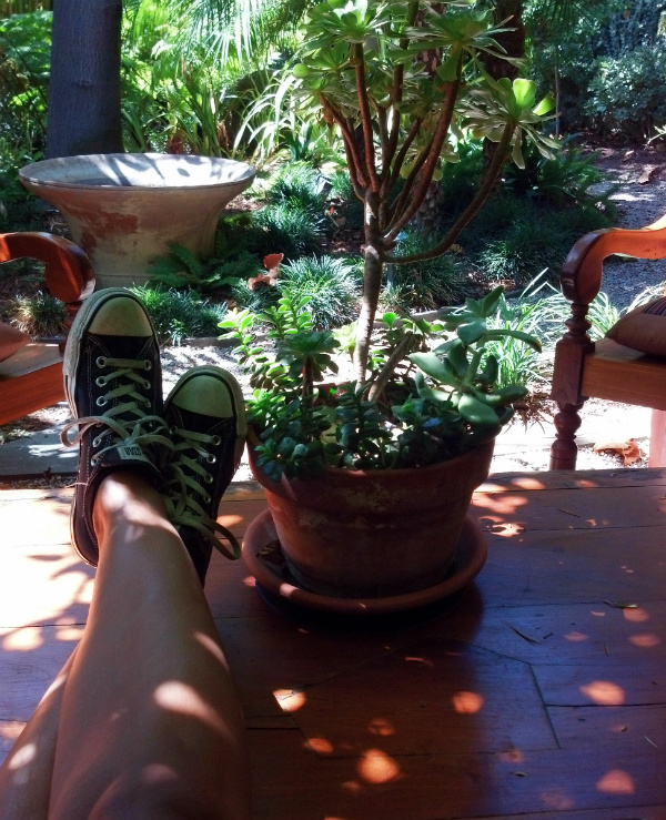 Meditation Garden 2 ATG FINAL