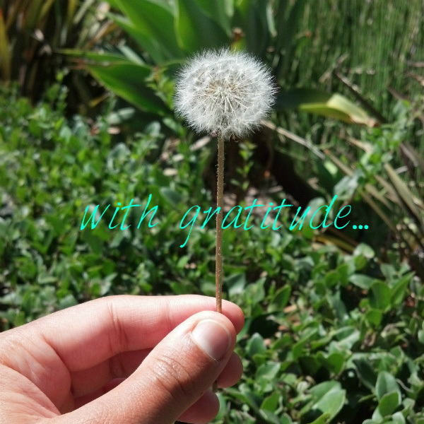 make-a-wish-atg-final_With Gratitude