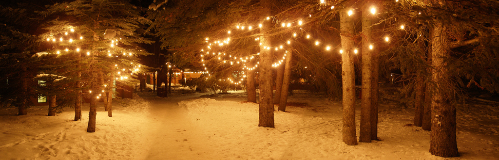 75854707_4558d71552_b