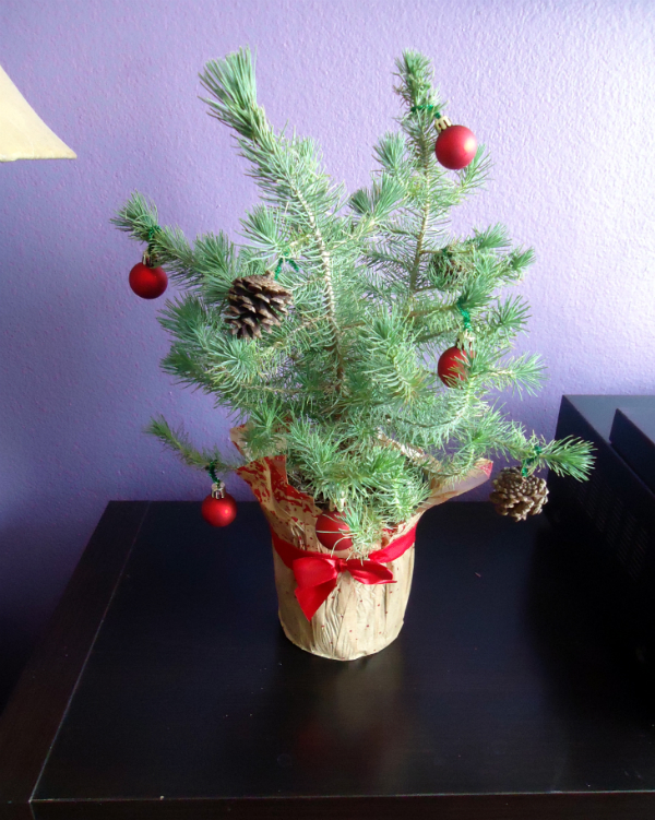 Charlie Brown Christmas Tree ATG FINAL 3